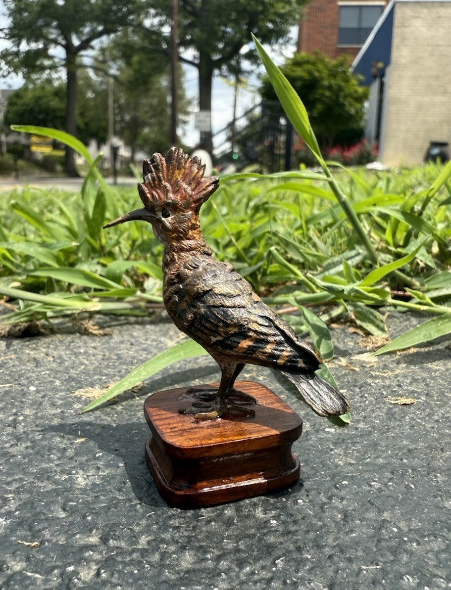 Rare Antique Austrian Vienna Cold Painted Bronze of Hoopoe Bird1