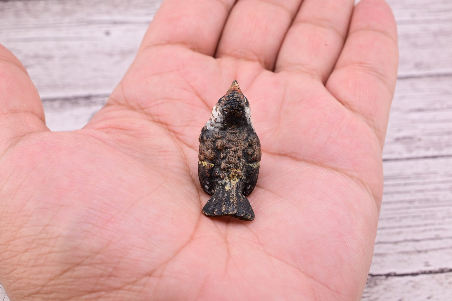Amazing Antique Austrian Vienna Cold Painted Bronze Figure of Goldfinch13