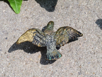 Austrian Vienna Cold Painted Bronze Pigeon9