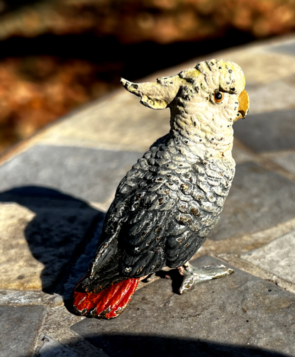 Original Antique Austrian Vienna Cold Painted Bronze Figure of Cockatoo0