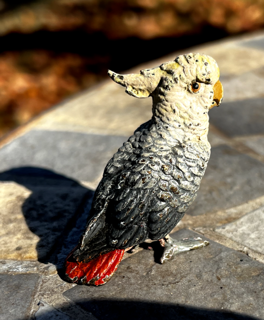 Original Antique Austrian Vienna Cold Painted Bronze Figure of Cockatoo0