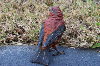 Austrian Vienna Cold Painted Bronze Figure of Pine Grosbeak or Red-Crested Finch2