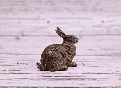 Fine Quality Antique Cold Painted Austrian Vienna Bronze Figure of Rabbit6