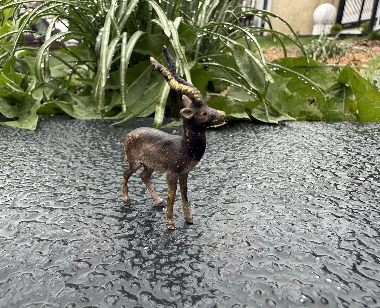Lovely Antique Austrian Vienna Cold Painted Bronze Figure of Antelope / Gazelle6