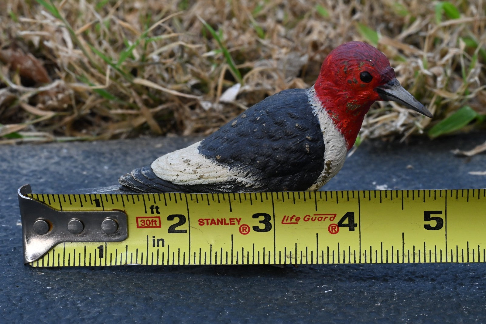 Life - Like Austrian Vienna Cold Painted Bronze Figure of Red Headed Woodpecker7