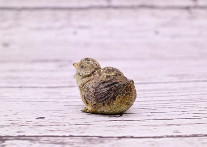 Super Nice Antique Austrian Vienna Cold Painted Bronze Figure of Quail10