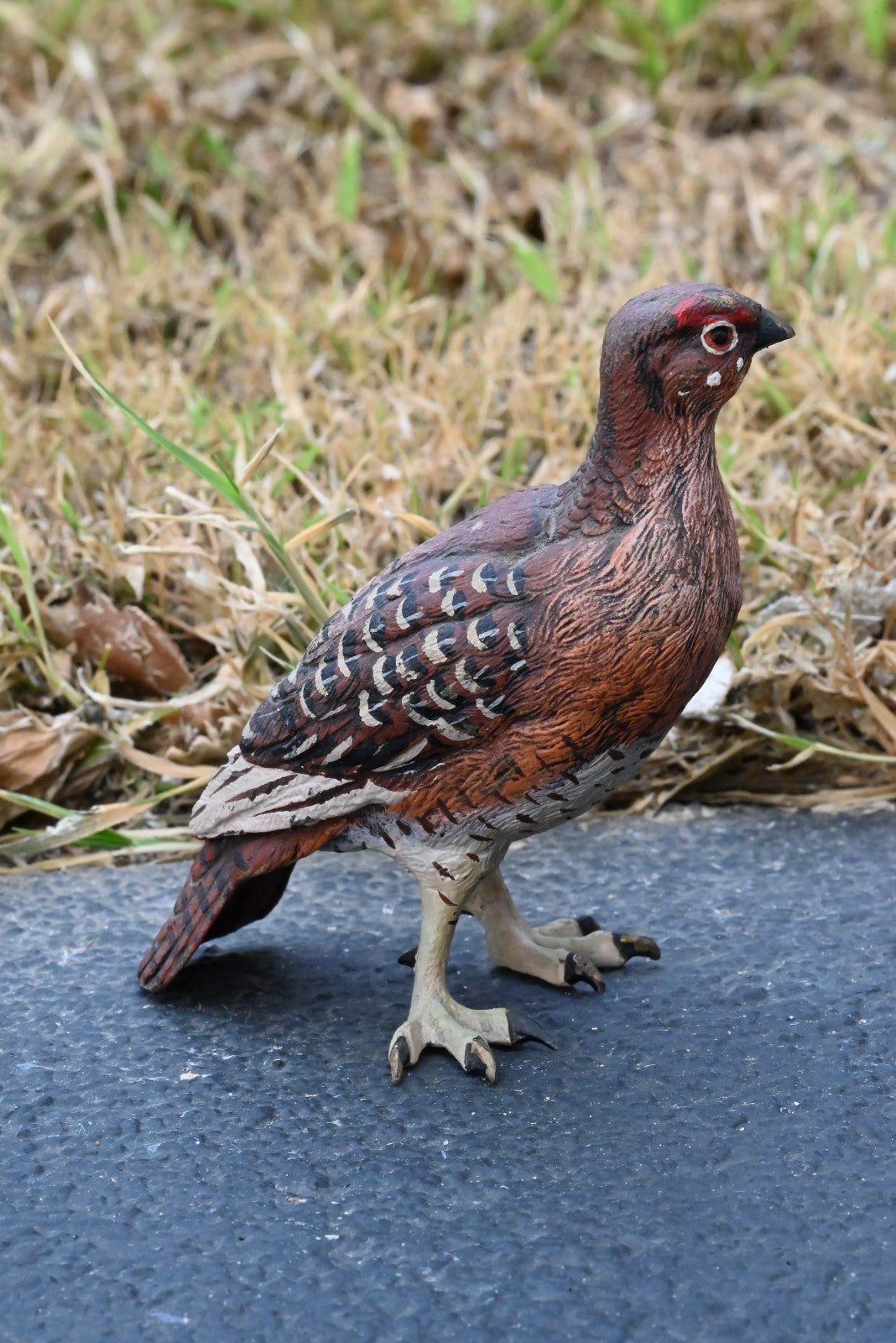 Beautiful Austrian Vienna Cold Painted Bronze Figure of  Partridge Game Bird6