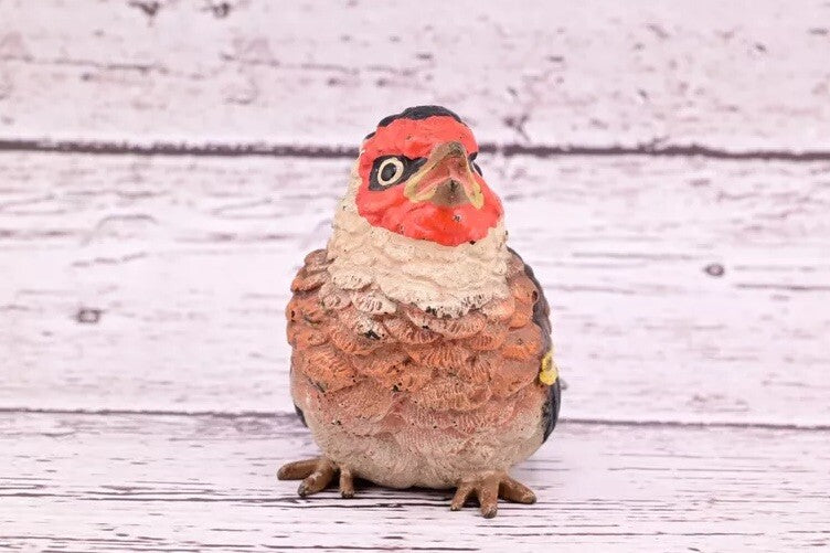 Majestic Antique Austrian Vienna Cold Painted Bronze Figure of Golden Finch6