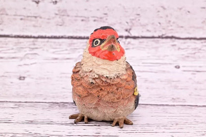Majestic Antique Austrian Vienna Cold Painted Bronze Figure of Golden Finch6