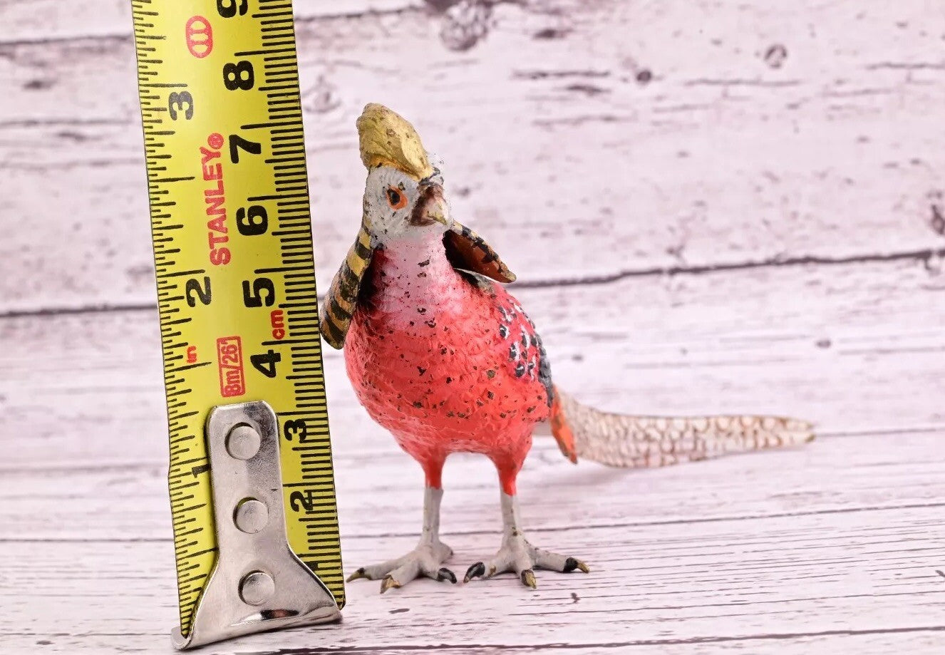 Attractive Antique Austrian Vienna Cold Painted Bronze Figure of Golden Pheasant16