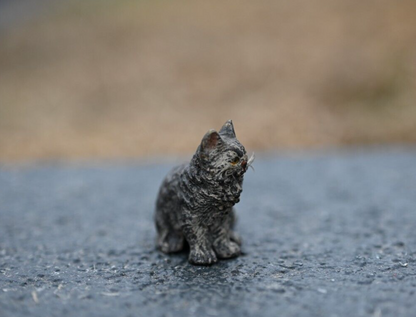 Serious Faced Antique Austrian Vienna Cold Painted Bronze Figure of Small Cat4