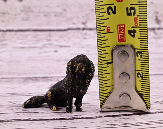 Antique Austrian Vienna Cold Painted Bronze Figure of Small Black Poodle0