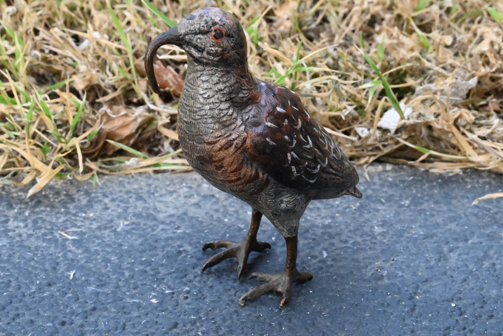 Amazing Austrian Vienna Cold Painted Bronze Figure of American Woodcock Bird2
