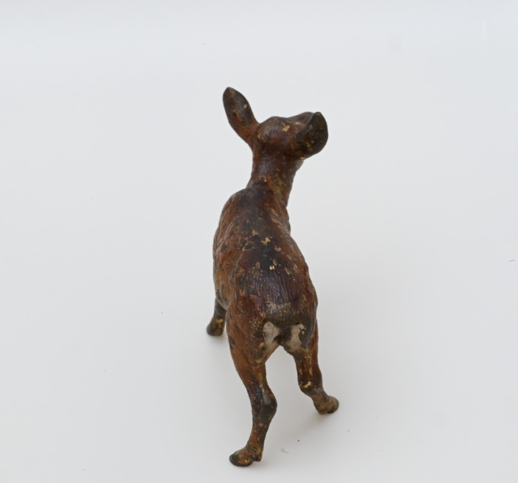 Life-Like Antique Austrian Vienna Cold Painted Bronze Figure of Brown Deer2