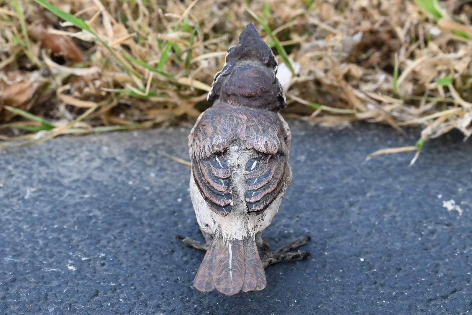 Gorgeous Austrian Vienna Cold Painted Bronze Figure of Black-crested Titmouse3