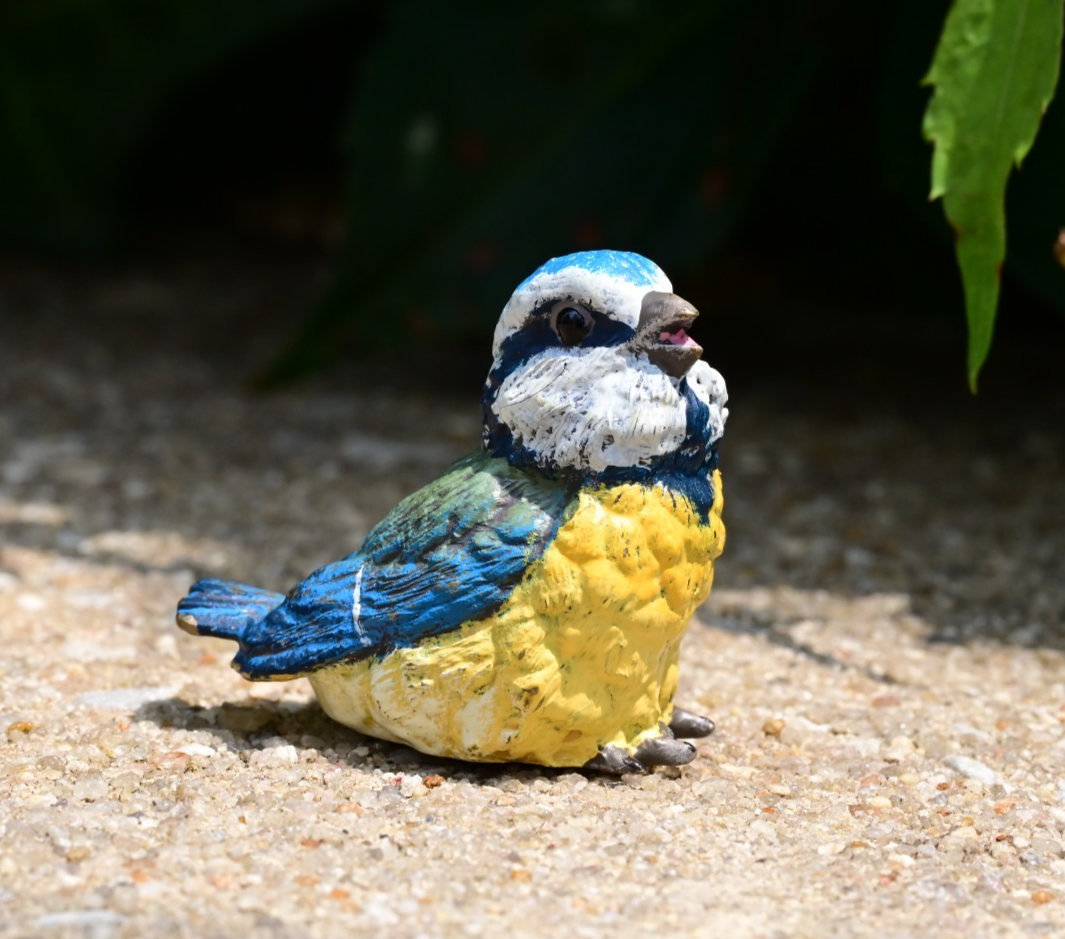 Lovely Austrian Vienna Cold Painted Bronze Figure of Blue & Yellow Tit Songbird0