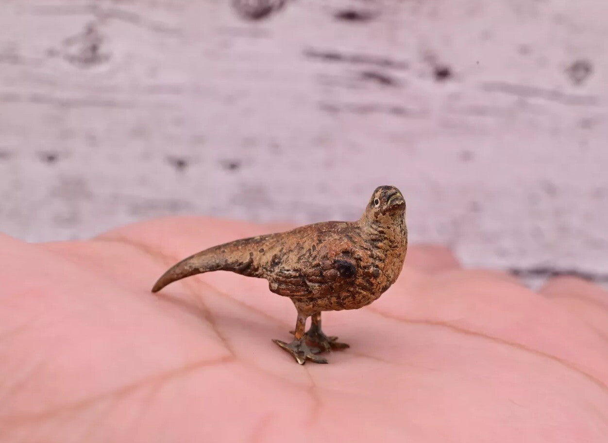 Amazing Antique Austrian Vienna Cold Painted Bronze Figure of Tiny Pheasant1