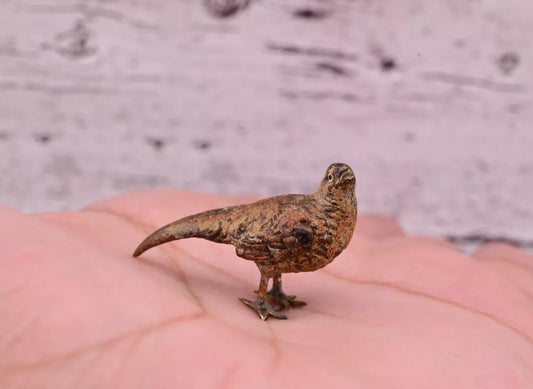Amazing Antique Austrian Vienna Cold Painted Bronze Figure of Tiny Pheasant1