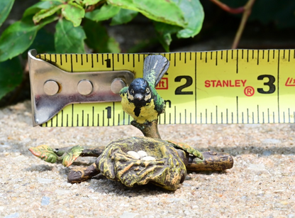 Antique Austrian Vienna Cold Painted Bronze Figure of Songbird Nest Watching7