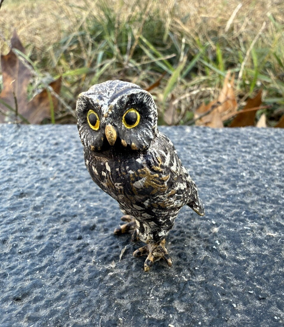 Amazing Antique Austrian Vienna Cold Painted Bronze Figure of Owl7