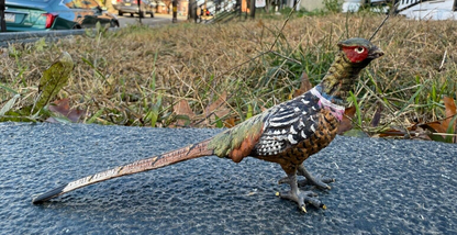 Elegant Antique Austrian Vienna Cold Painted Bronze Figure of Pheasant0