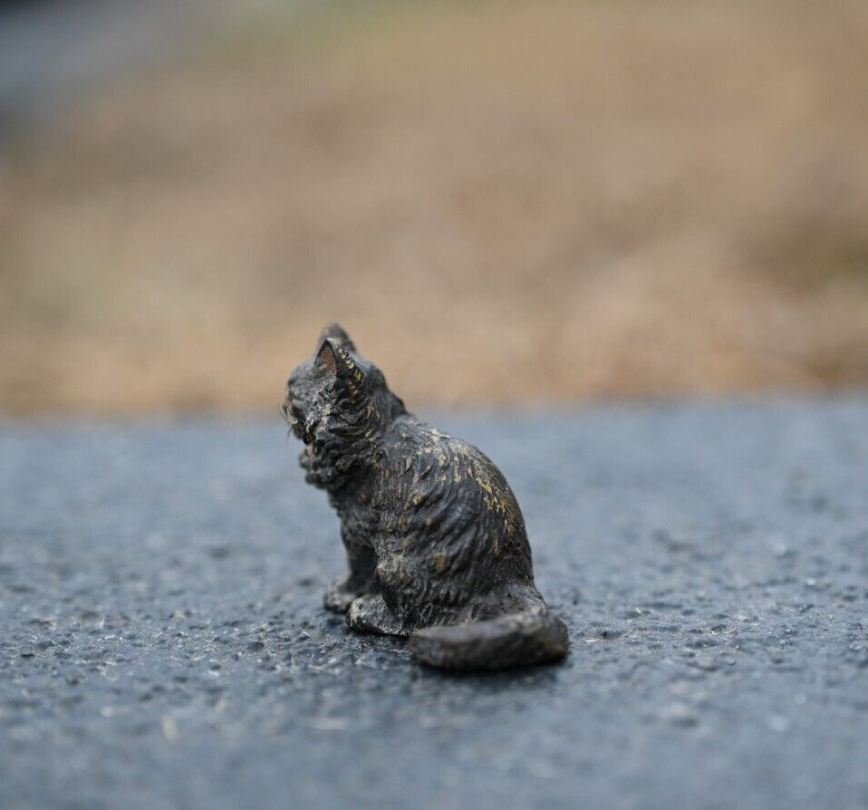 Serious Faced Antique Austrian Vienna Cold Painted Bronze Figure of Small Cat1