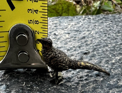 Miniature Antique Austrian Vienna Cold Painted Bronze Figure of Pheasant4