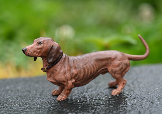 Lovely  Austrian Vienna Cold Painted Bronze Figure of Dachshund Dog 5 1/2 Inches0