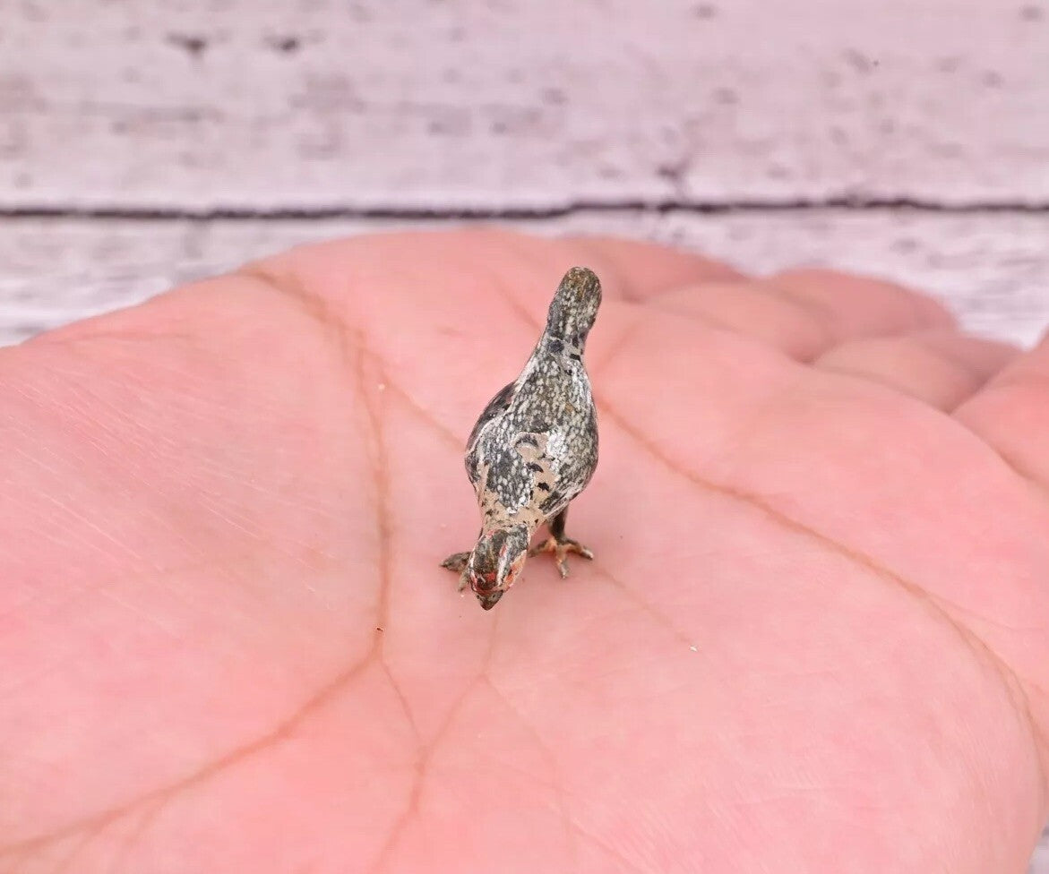 1900s Antique Austrian Vienna Cold Painted Bronze Figure of Chicken Searching5