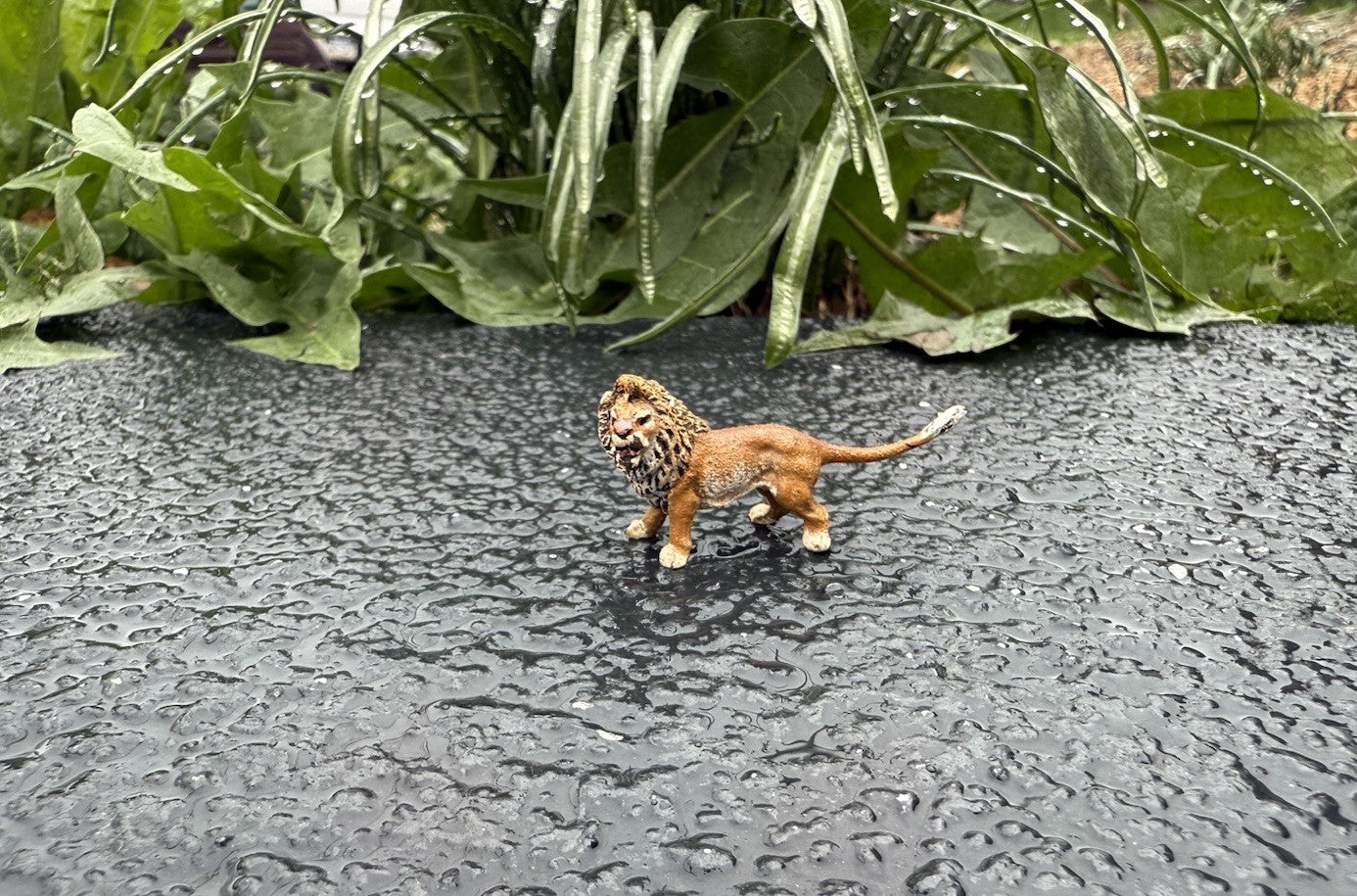 Amazing Miniature Antique Austrian Vienna Cold Painted Bronze Figure of Lion0