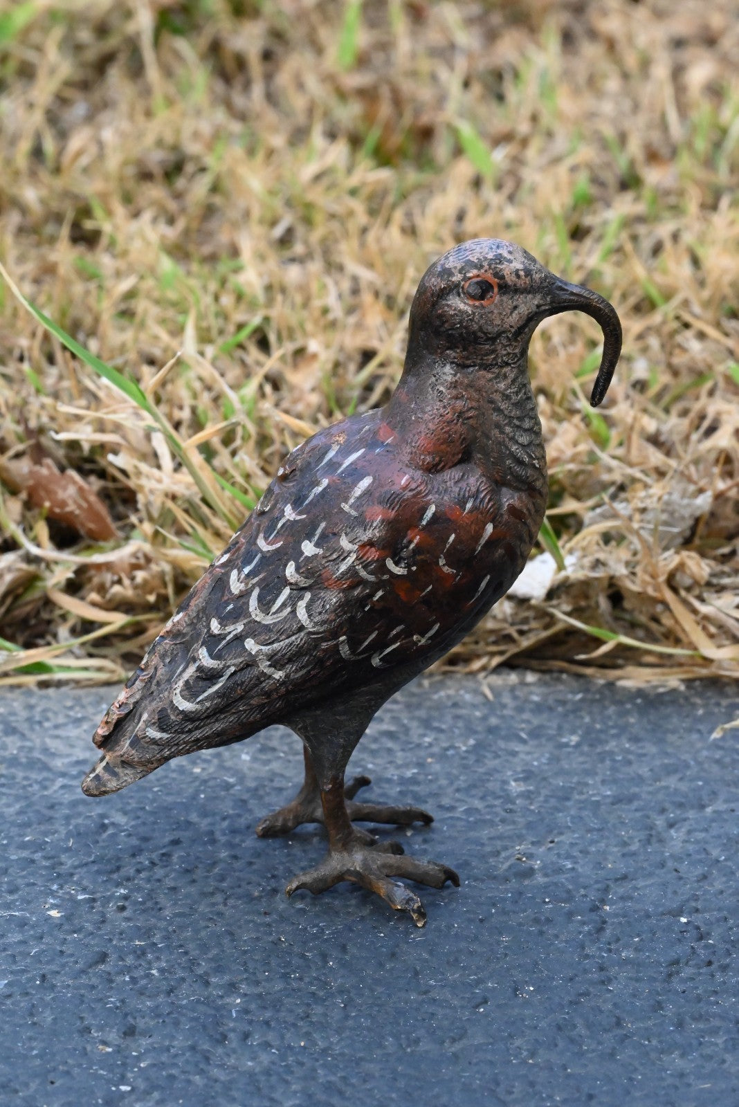 Amazing Austrian Vienna Cold Painted Bronze Figure of American Woodcock Bird5