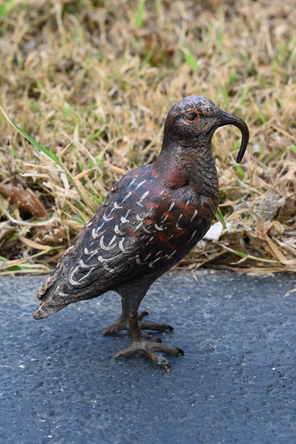 Amazing Austrian Vienna Cold Painted Bronze Figure of American Woodcock Bird5