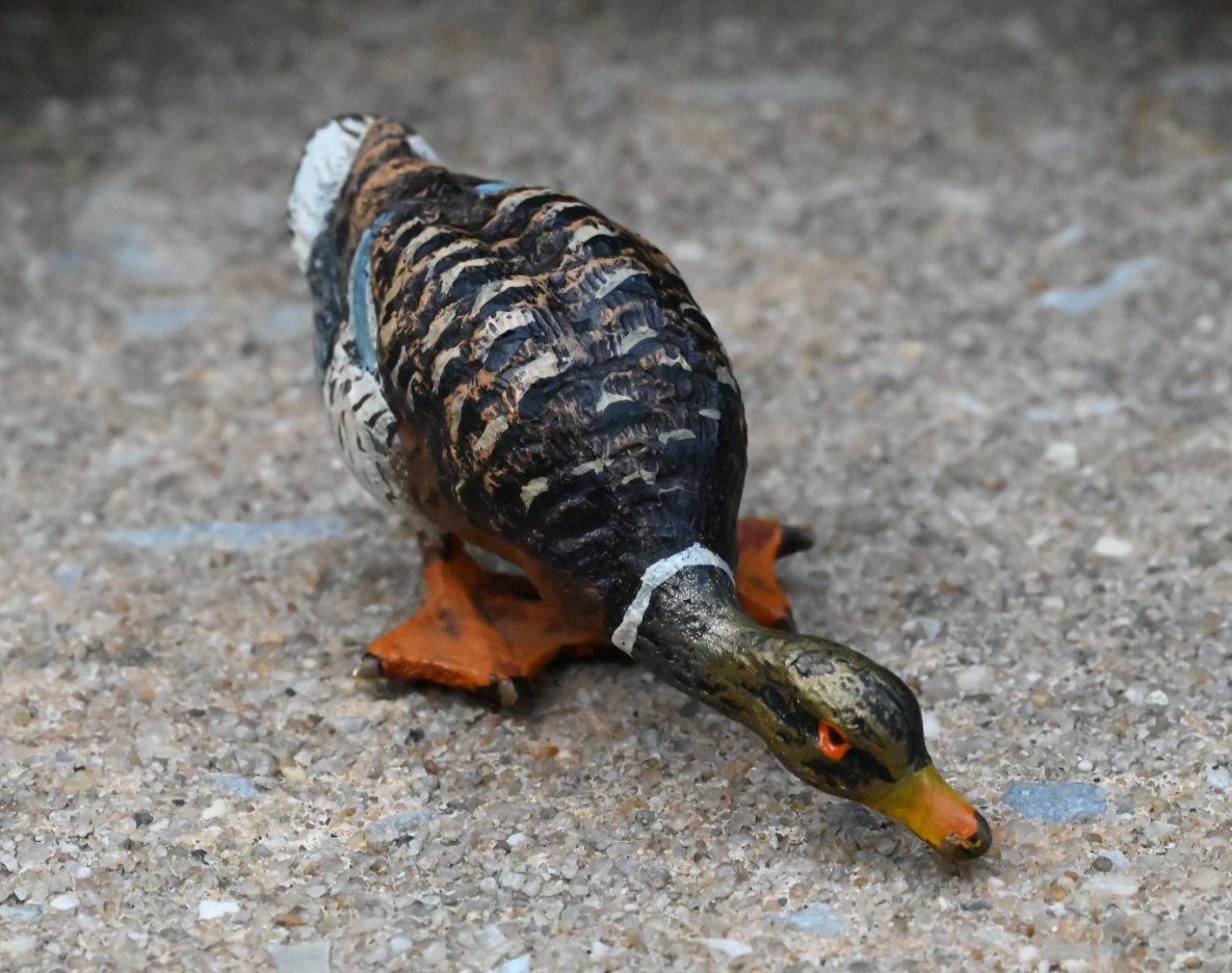 Lovely Antique Austrian Vienna Cold Painted Bronze Figure of Mallard Duck0