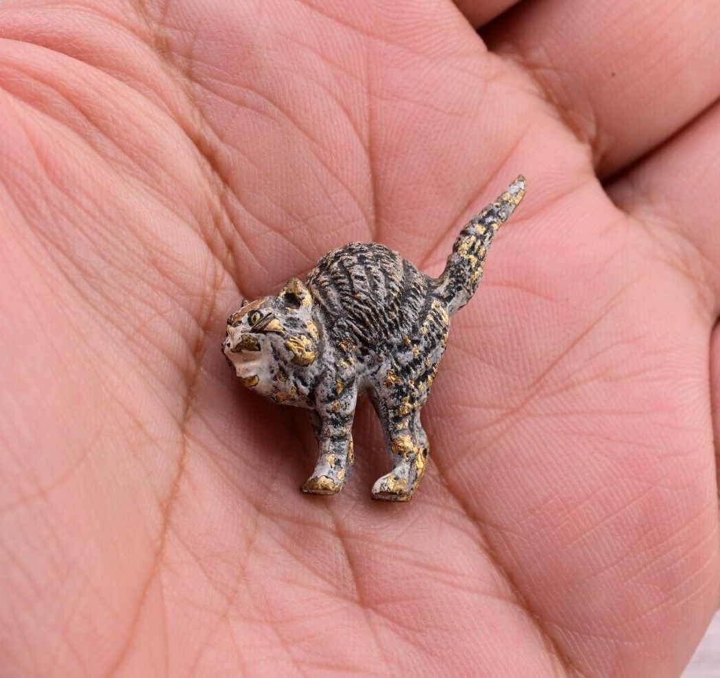 Life-Like Antique Austrian Vienna Cold Painted Bronze Figure of Scared Cat7