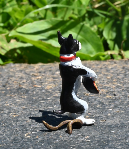 Austrian Vienna Cold Painted Bronze Figure of Boston Terrier Playing Mandolin4