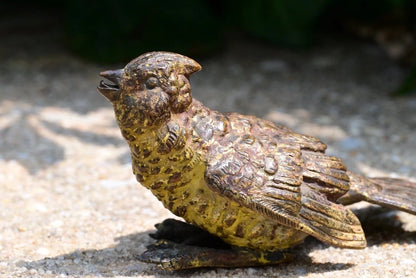 Antique 1900s Austrian Vienna Cold Painted Bronze Bird6