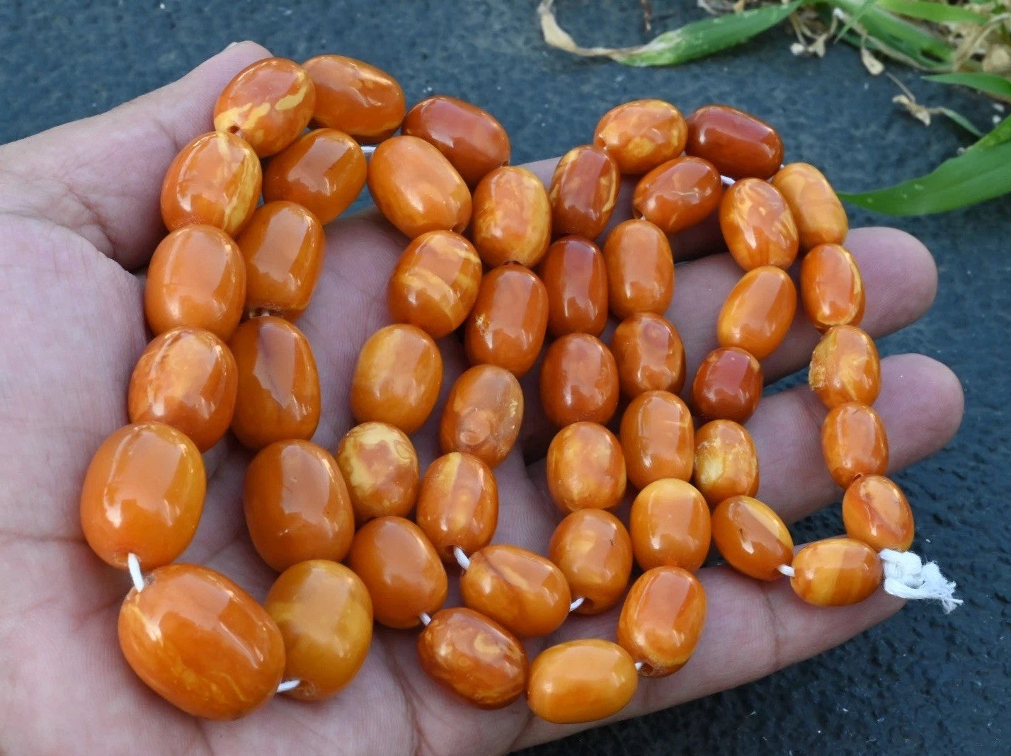 Genuine Marbled Natural Baltic Butterscotch Amber Beaded Necklace0
