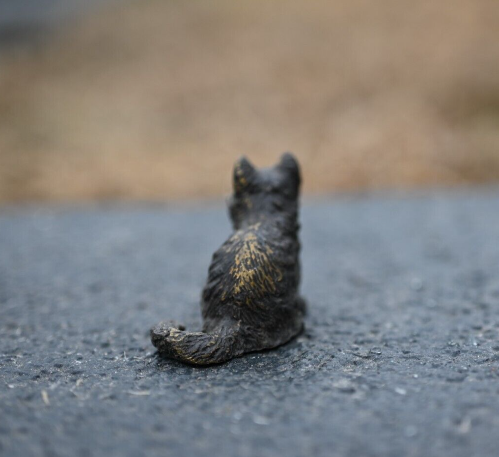 Serious Faced Antique Austrian Vienna Cold Painted Bronze Figure of Small Cat2