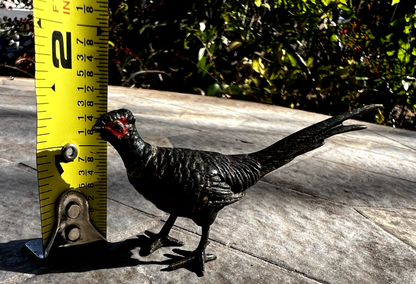 Small Antique Austrian Vienna Cold Painted Bronze Figure of Ring Neck Pheasant9