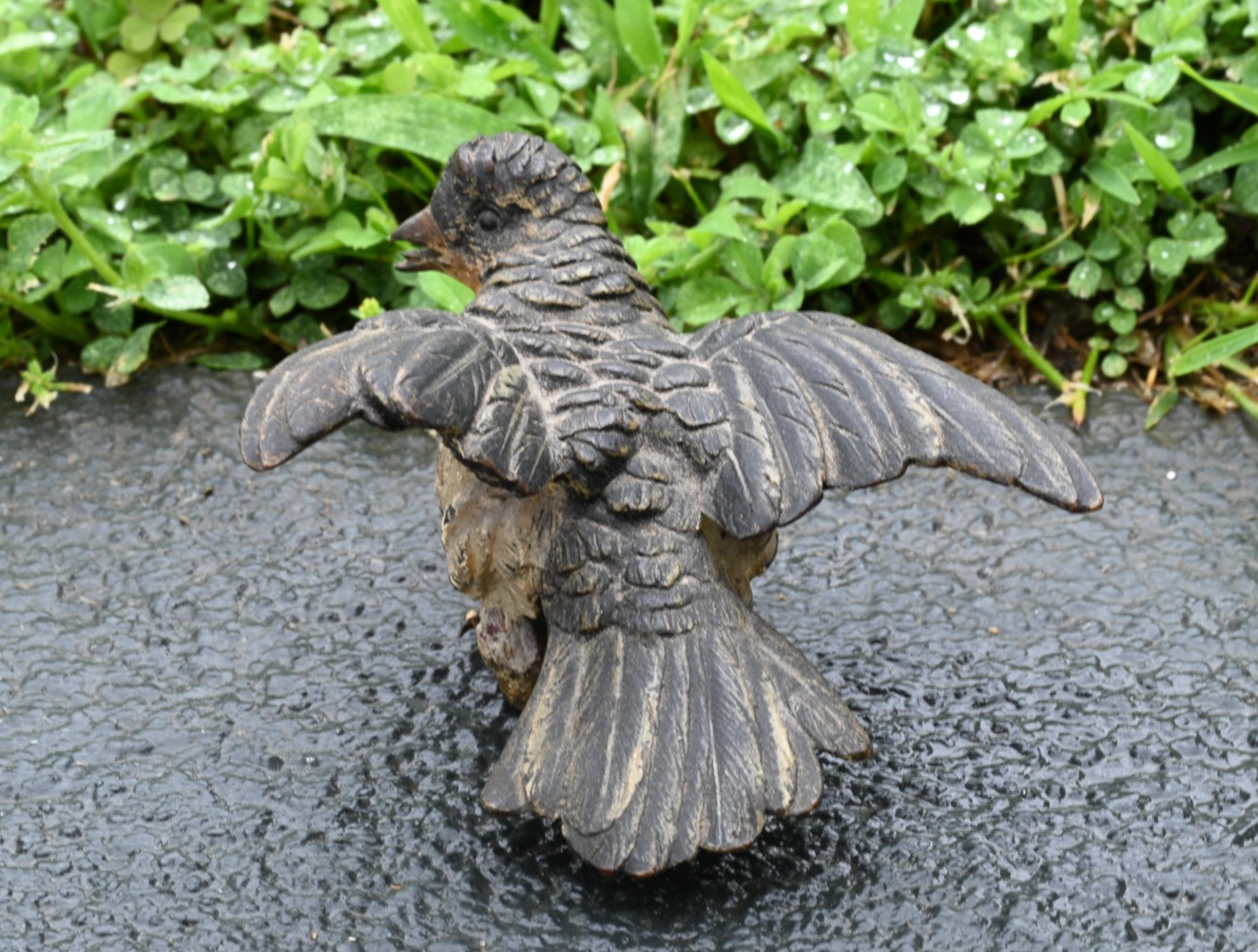 Detailed Antique Austrian Vienna Cold Painted Bronze Figure of Cuckoo Bird2