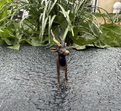 Lovely Antique Austrian Vienna Cold Painted Bronze Figure of Antelope / Gazelle4