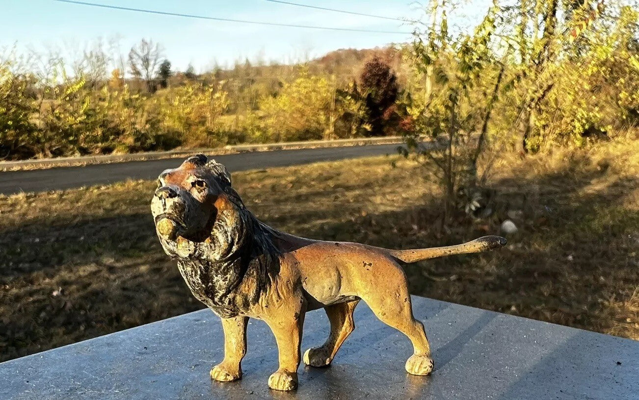 Wonderful Antique Austrian Vienna Cold Painted Bronze Figure of Lion7