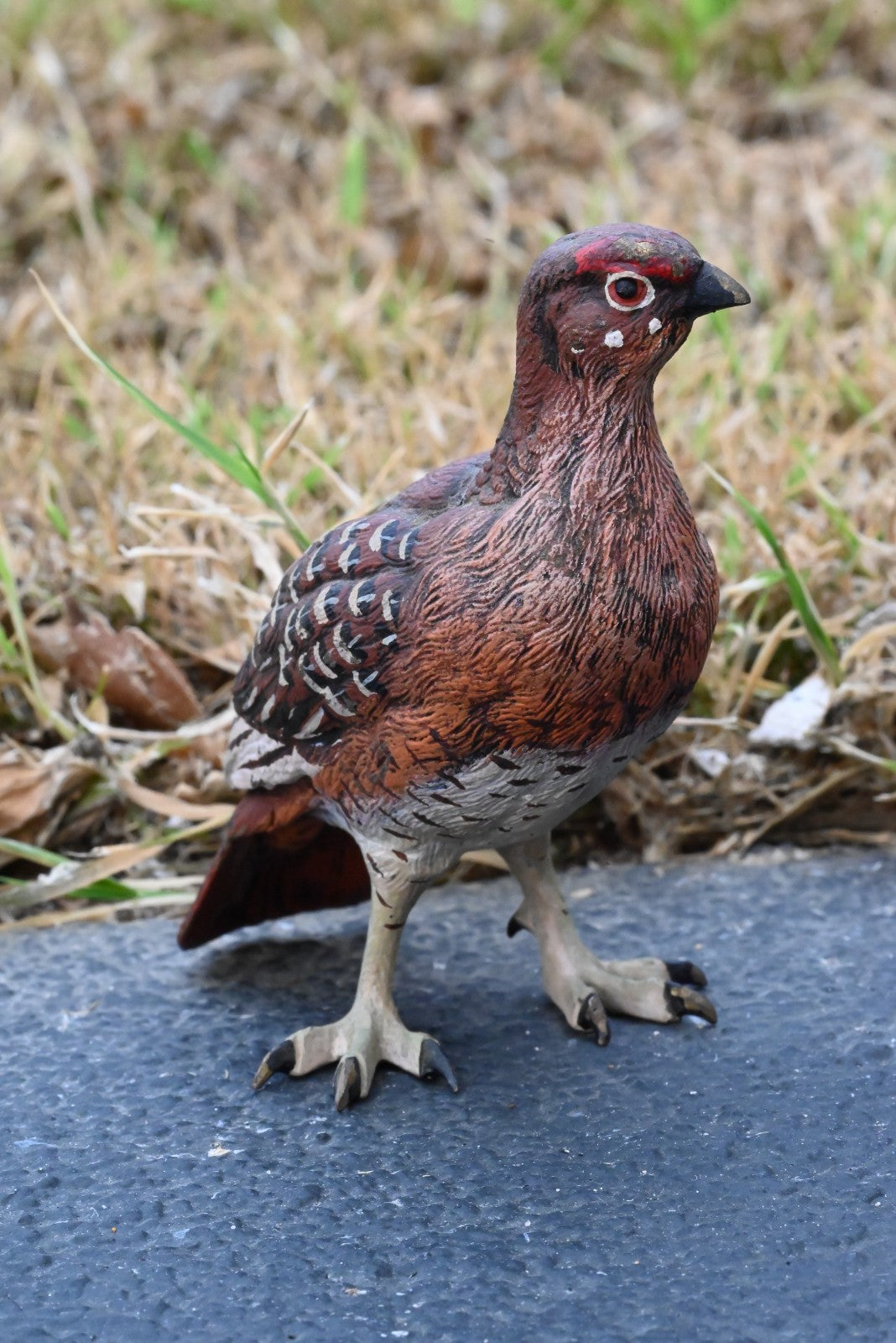 Beautiful Austrian Vienna Cold Painted Bronze Figure of  Partridge Game Bird7