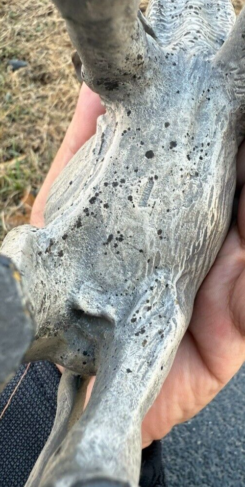 Very Large Antique Austrian Vienna Cold Painted Bronze Figure of Elephant11