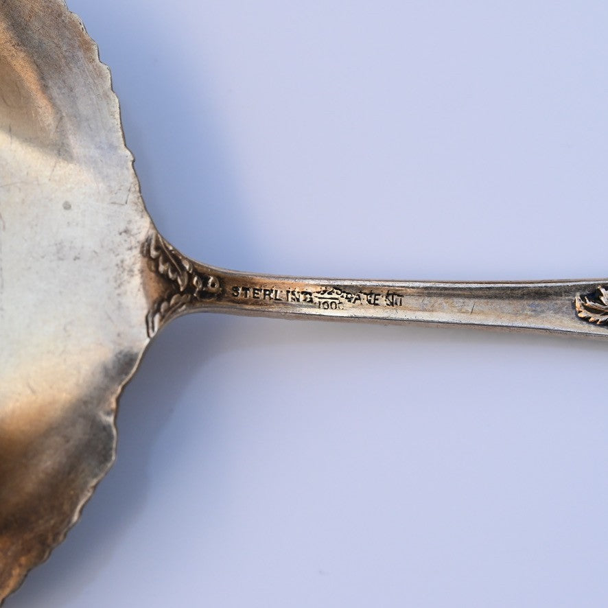 Antique William Durgin Co. Enameled Chrysanthemum Sterling Silver Serving Spoon8