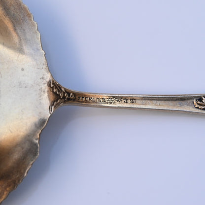 Antique William Durgin Co. Enameled Chrysanthemum Sterling Silver Serving Spoon8