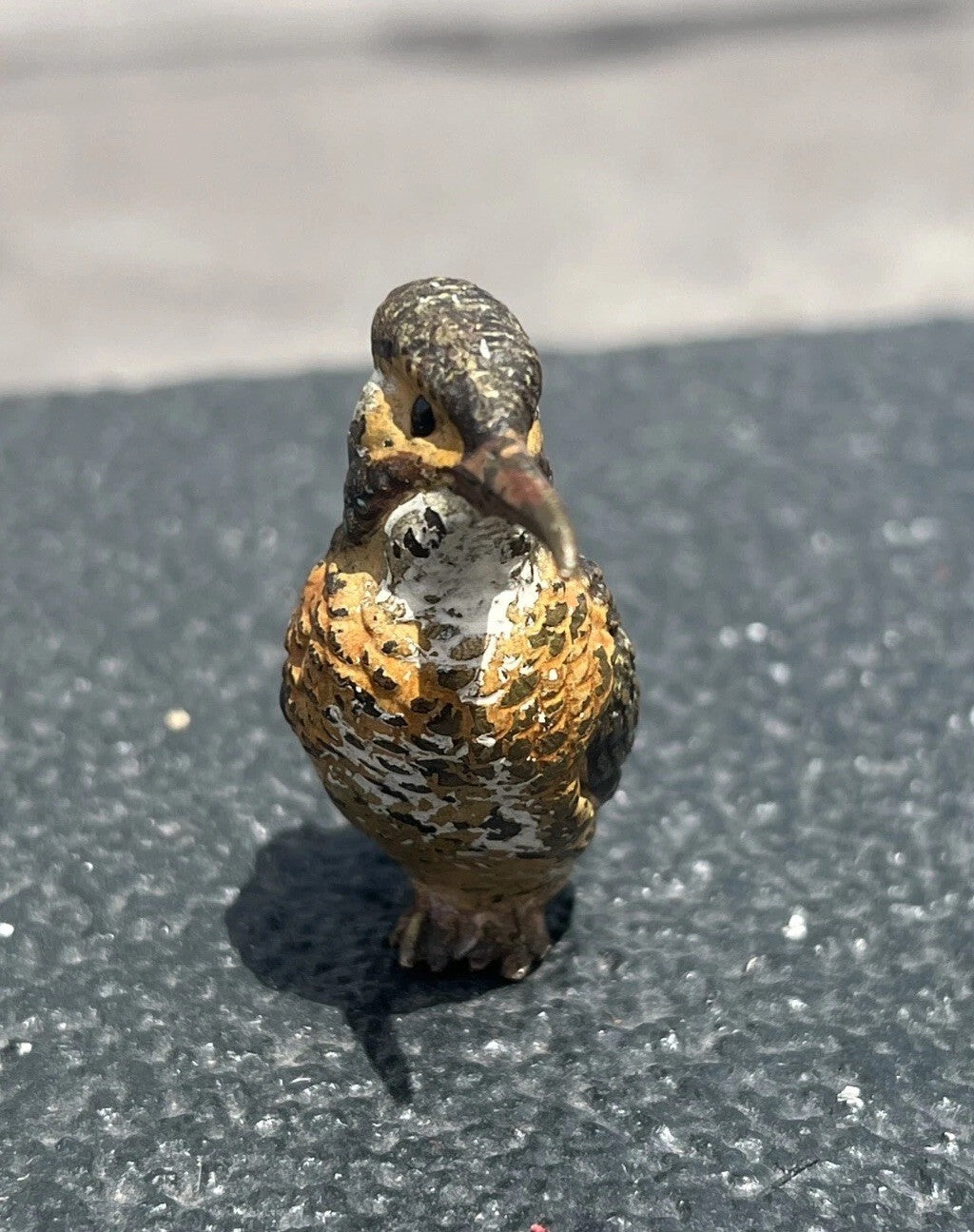 Life-Like Antique Austrian Vienna Cold Painted Bronze Figure of Kingfisher Bird6