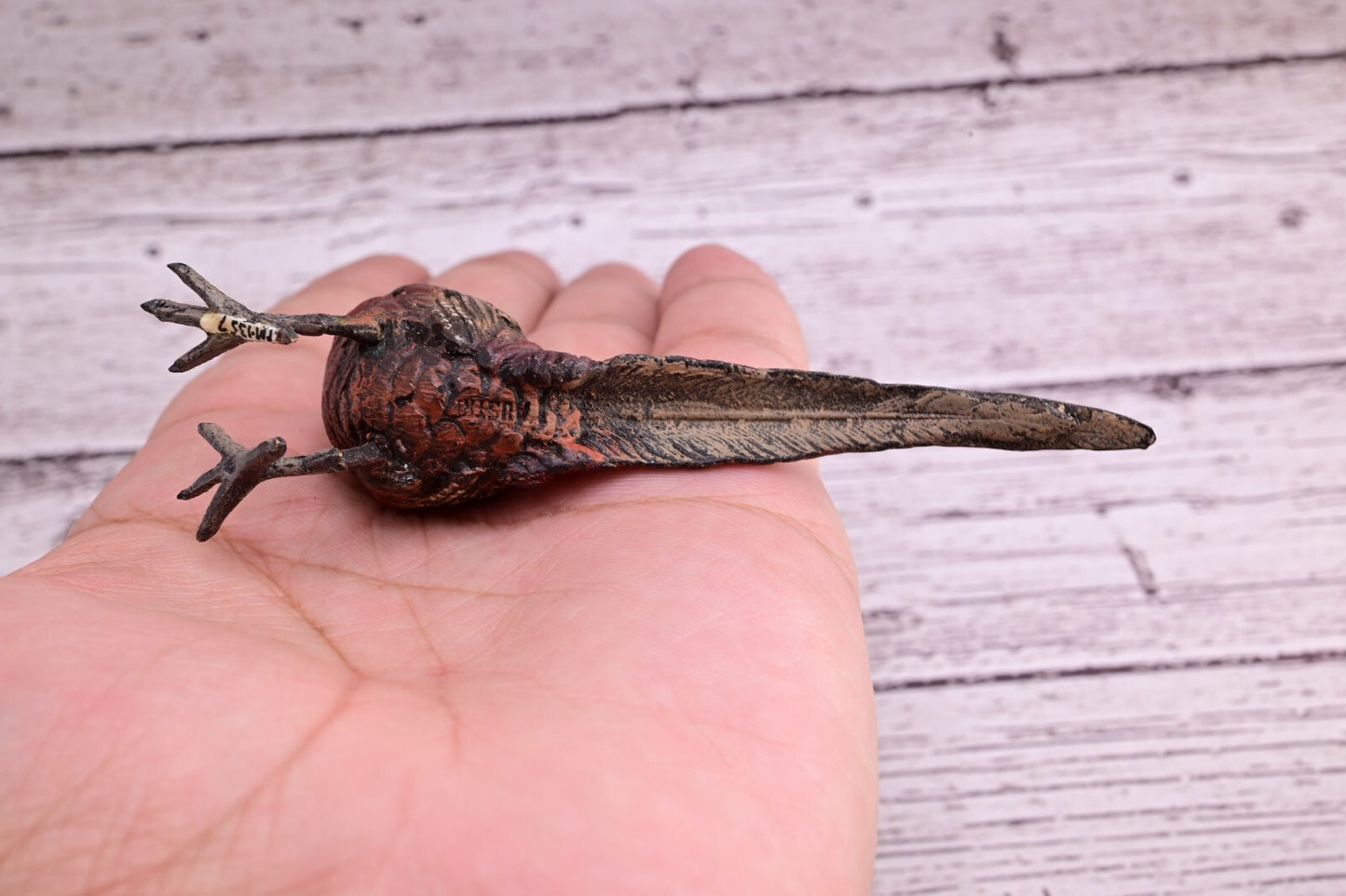 Stunning Antique Austrian Vienna Cold Painted Bronze of Ring Neck Pheasant10