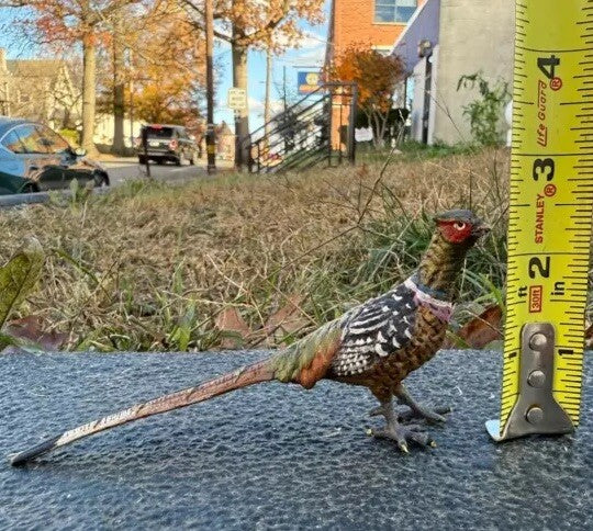 Elegant Antique Austrian Vienna Cold Painted Bronze Figure of Pheasant4