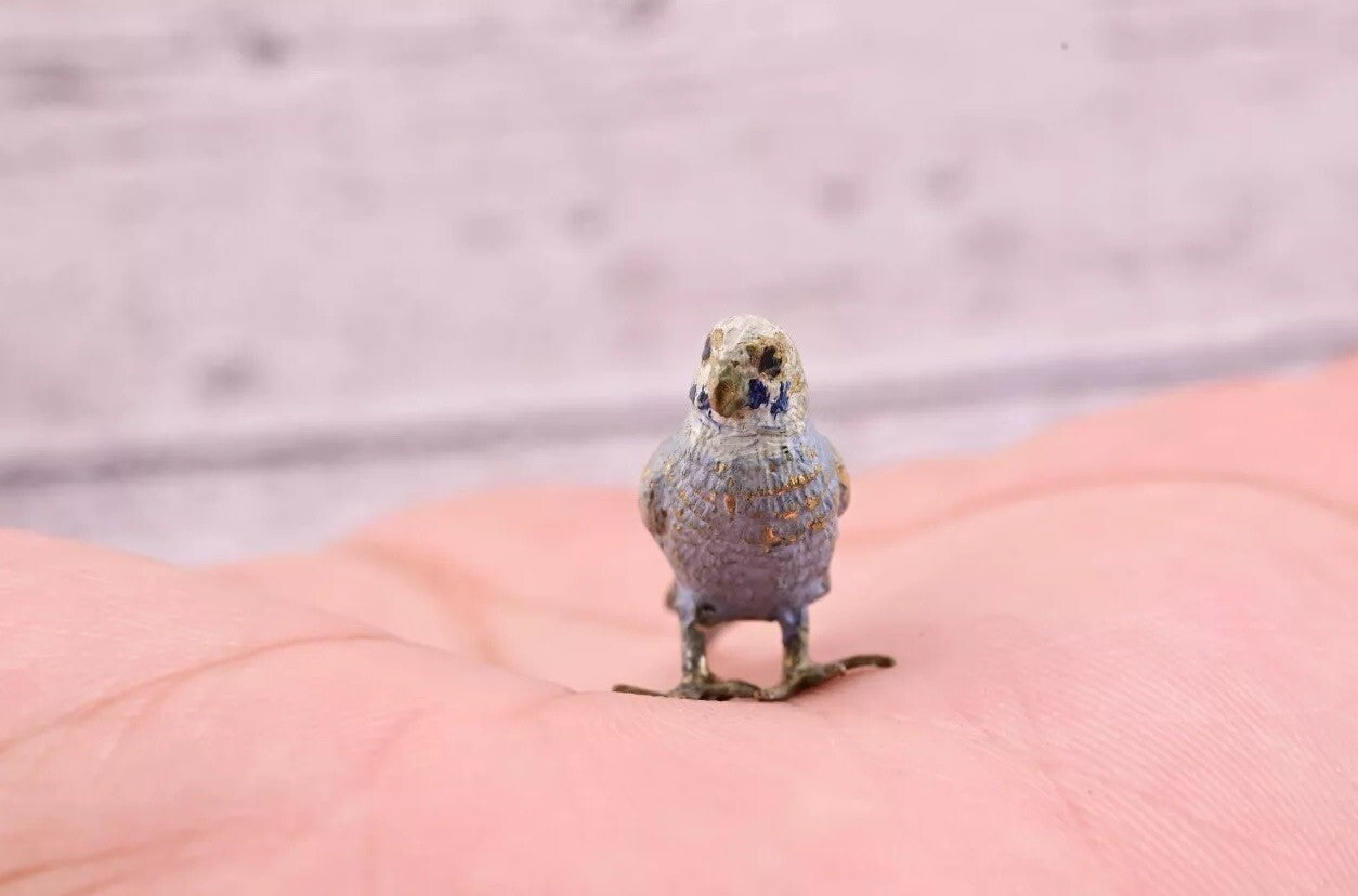 Lovely Antique Austrian Vienna Cold Painted Bronze Figure of Gray Blue Parakeet8